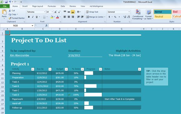 On Page Project Manager Template In Excel