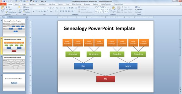 Microsoft Office Genealogy Chart Template