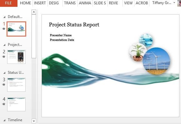 Microsoft Project Reporting Software