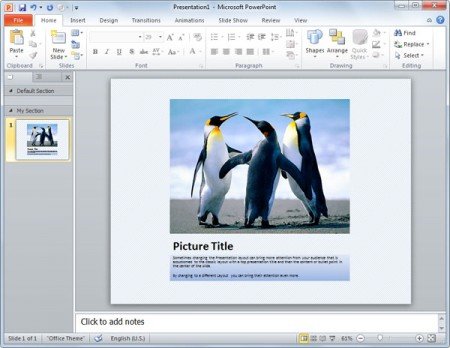 penguin powerpoint template