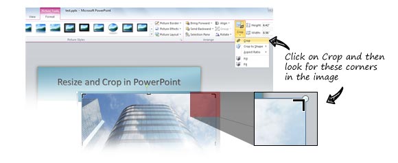 PowerPoint Crop - Step by Step - How to Crop images in PowerPoint