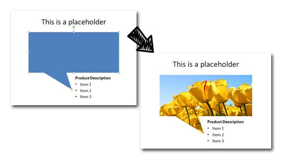 embed placeholder in PowerPoint slides