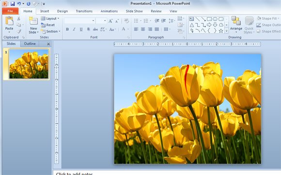 add a background picture or a watermark in powerpoint for mac