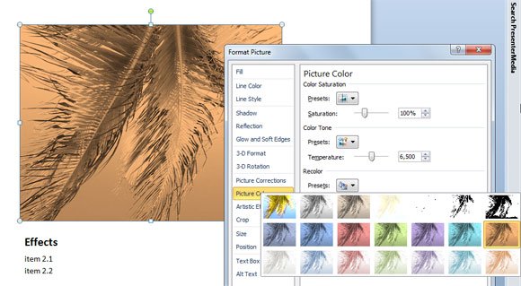 Apply Picture Effects using PowerPoint using Recolor feature in PowerPoint
