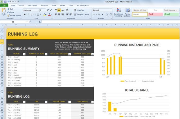 fitness excel template