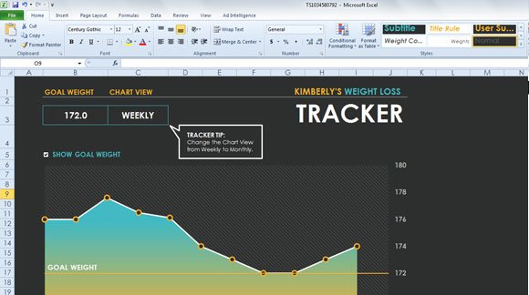 excel weight loss tracking template 2013