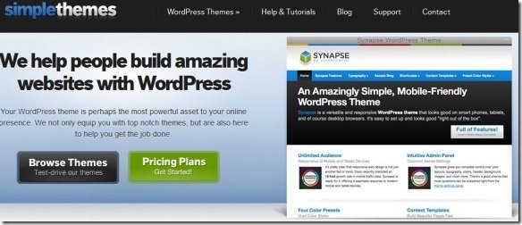Download High Quality Wordpress Themes At Simple Themes