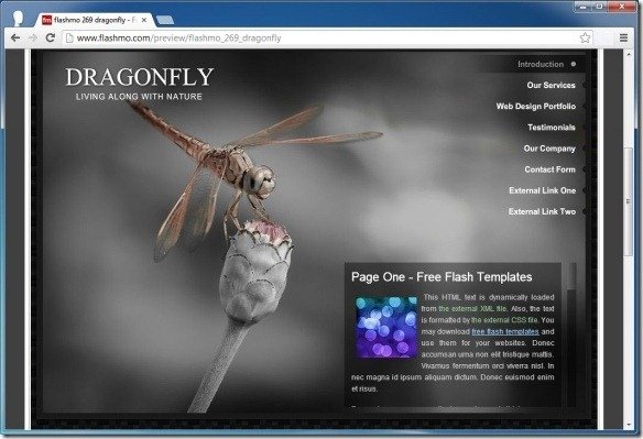 flashmo 269 dragonfly Free Flash Template
