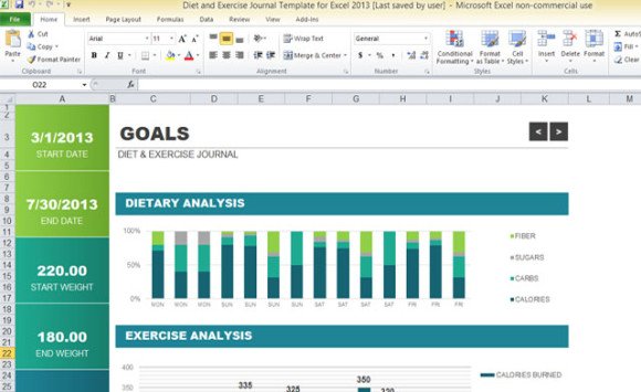 diet-and-exercise-journal-template-for-excel-2013-1