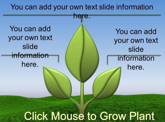 Interactive Animation That Shows Content At mouse Click