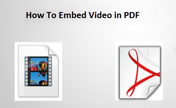 How To Embed A Video in PDF