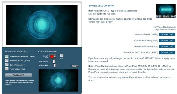 Animated Biology PowerPoint Template With Cell Division Animation
