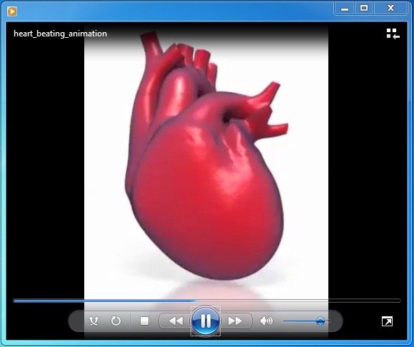 Heart Beating Animation