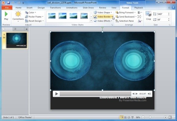 Single Cell Dividing Video Animation