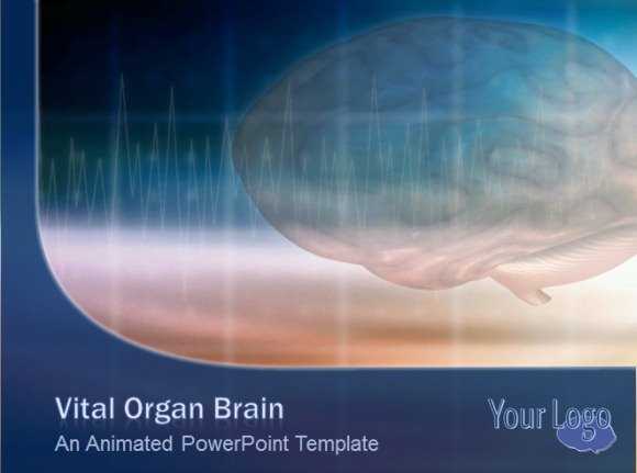 Vital Organ Brain Scan PowerPoint Template