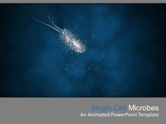 Microbes-PowerPoint-Temp.jpg