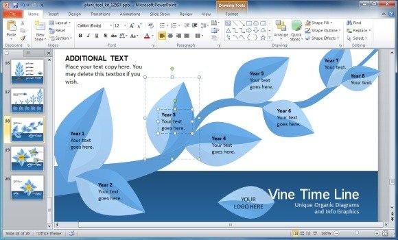 Vine Plant Timeline Slide