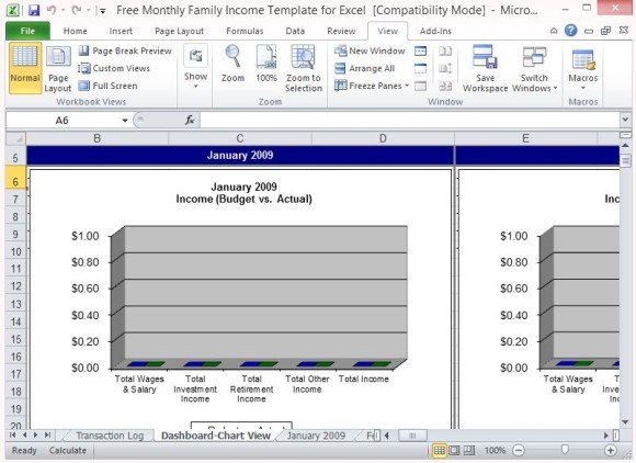 Comprehensive Chart Views for Monthly Family Income