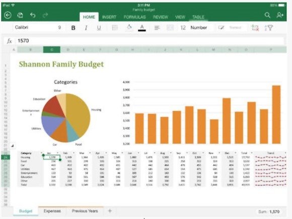 Microsoft Excel for iPad