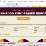 Create a Beautiful and Interesting Fundraising Report