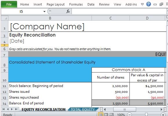 Easily Create a Shareholder Equity Report in a Snap