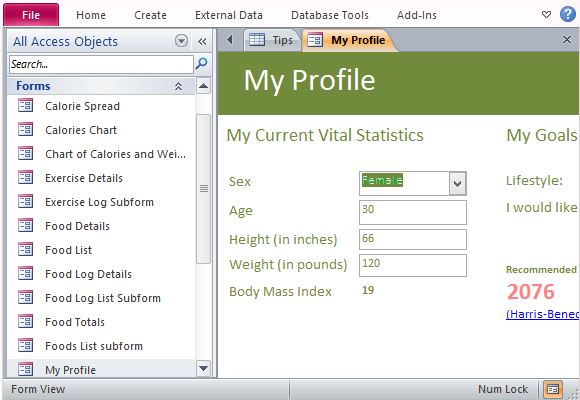 Input Your Profile Into the Database