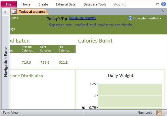 Keep Tabs of Your Daily Nutrient Intake