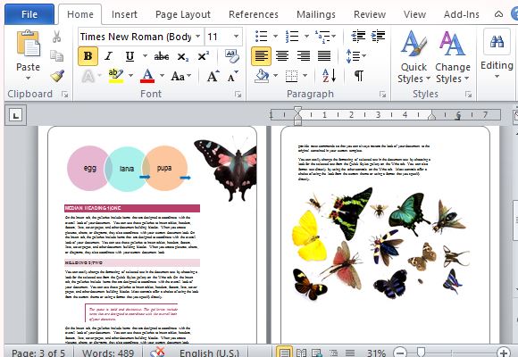 Make Your Reports Stand Out with Colorful Butterflies