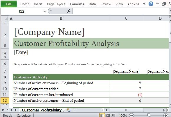 Well-Designed Customer Profitability Analysis Template
