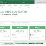 Professionally Designed Template for Financial Reports