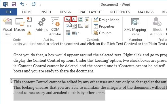 Rich text and plain text controls