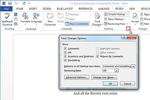 Customize track changes in Word 2013