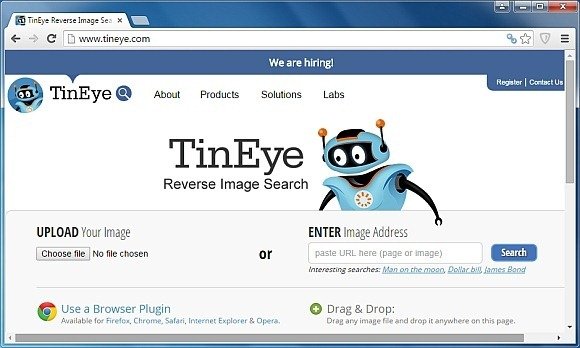 tin eye reverse image search