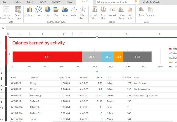 Exercise Activity Tracker Template For Excel