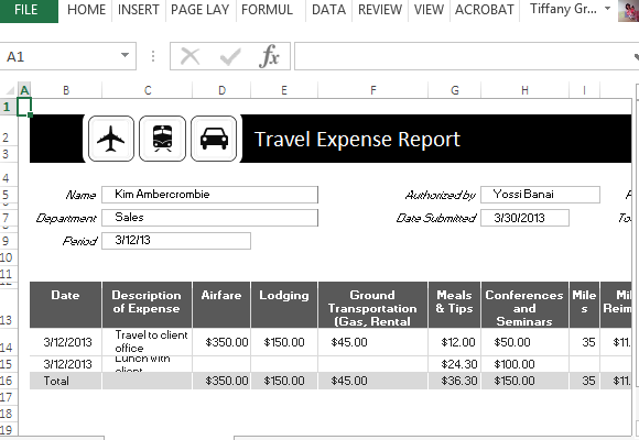 Travel Expense Report Template For Excel