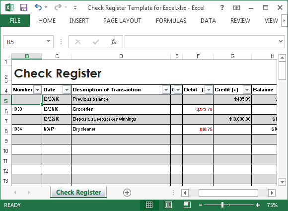 excel template check register