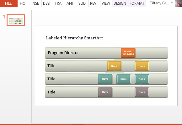 highly-versatile-and-customizable-organizational-hierarchy-template