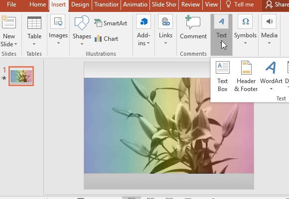 Add a multi-colored tint video background for PowerPoint presentations.