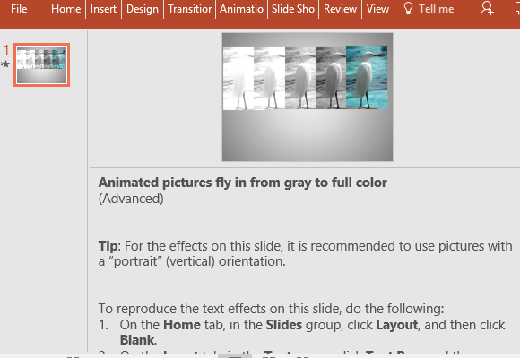 animated-slide-template-with-tips-and-instructions
