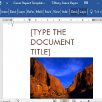 eye-catching-cover-report-template-for-word