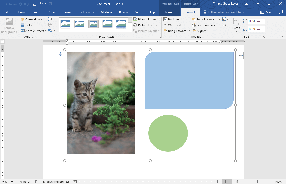 word for mac shape format tab?