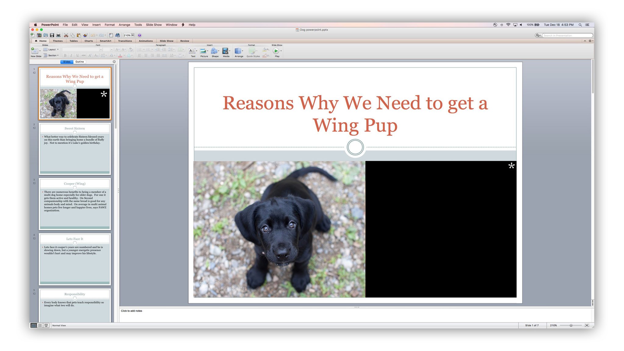 Kids Pitch to Their Parents Using PowerPoint - Example of Puppy slide