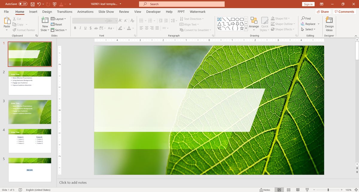 Leaf Template with Green Presentation Background