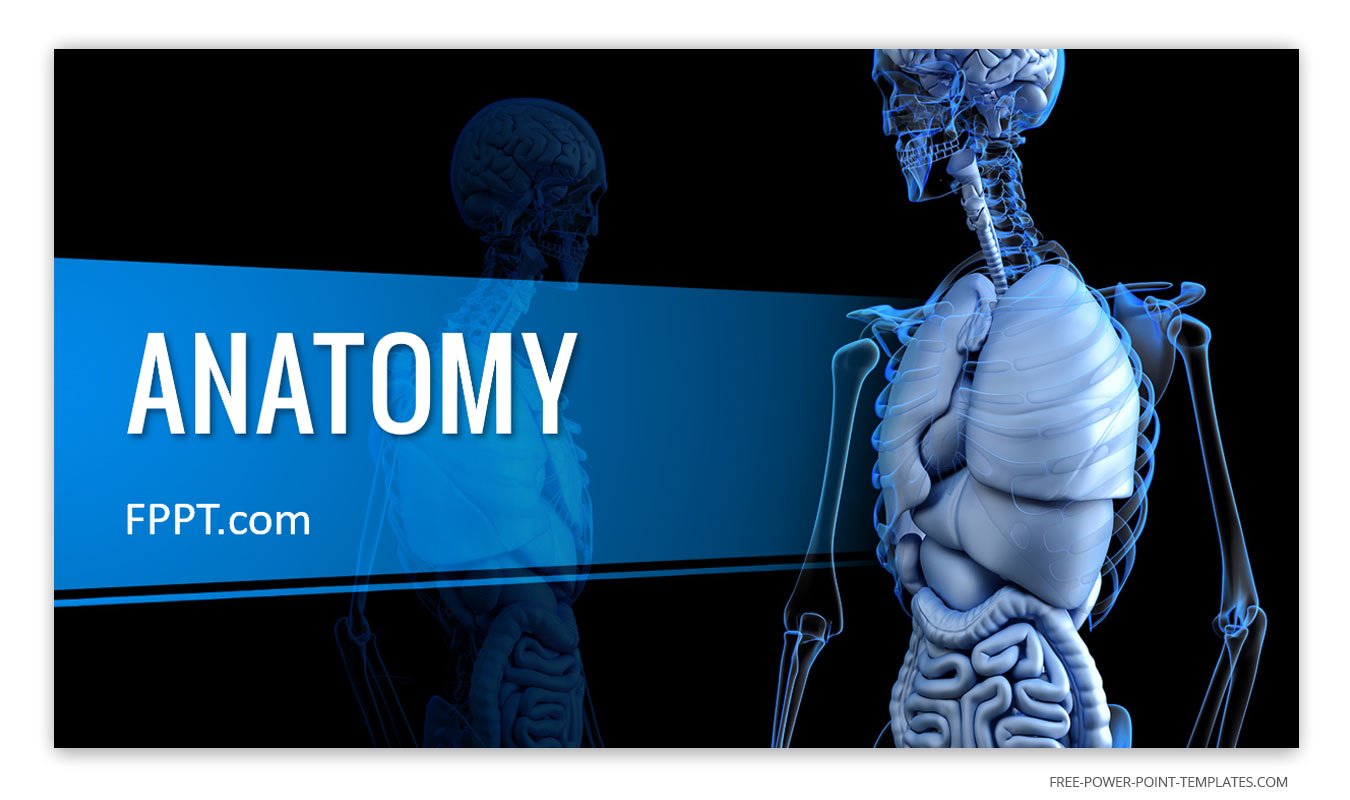 Free Dark Anatomy Presentation Background