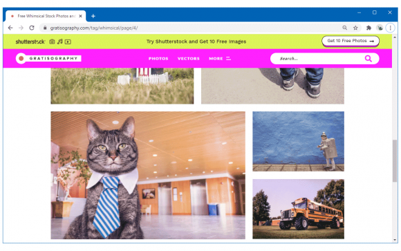 Gratisography Images for Presentations and Background Images Free