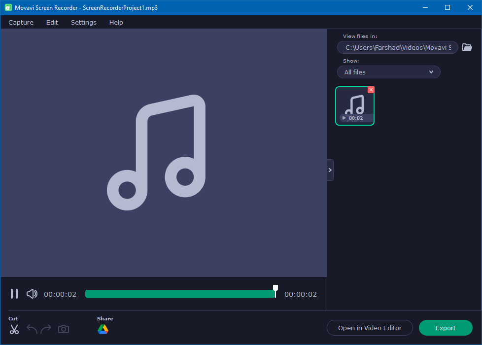 Movavi Screen Recording Tool Audio options