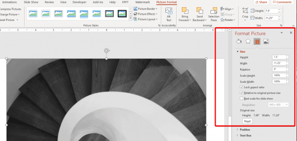 Flip Rotate Picture in PowerPoint with Format Options
