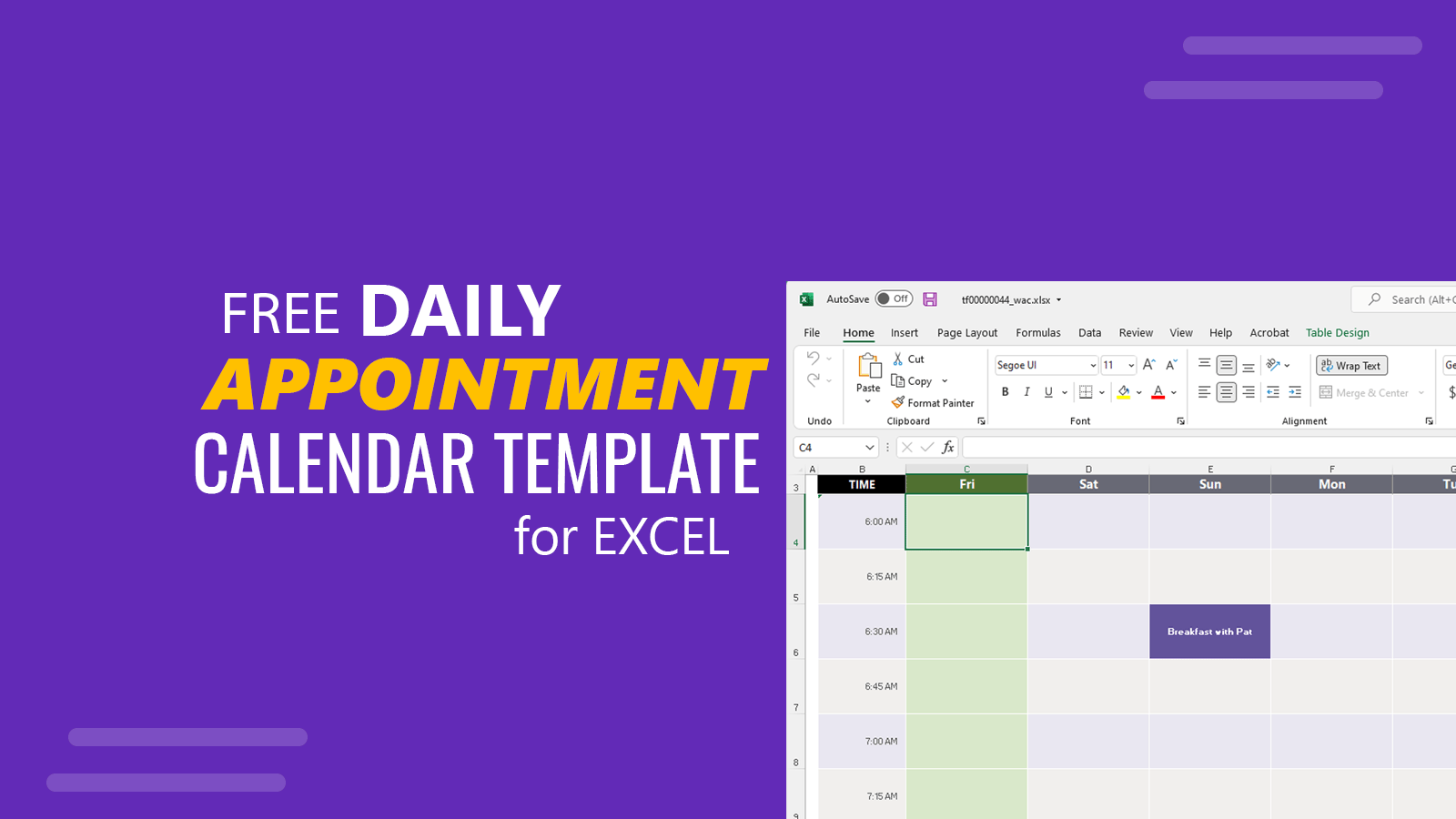 Daily Appointment Calendar Template For Excel