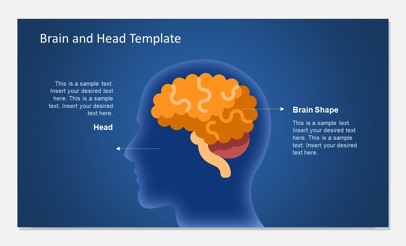 Head and brain shape for PowerPoint