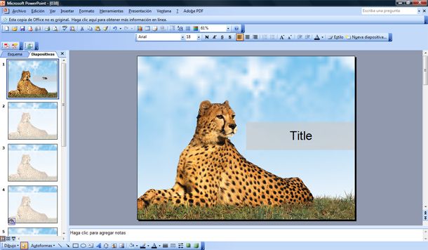 Animal PowerPoint template